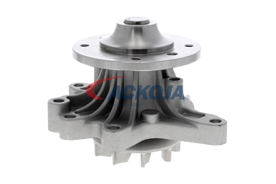 OEM Pompa apa LOTUS Exige (SCC_) 2009 1610029145, 1610029146, 1610029165 ACKOJA