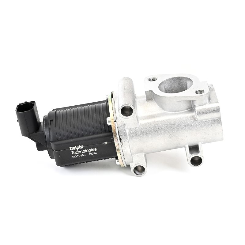 Koop DELPHI EGR klep Productnr.: EG10403-12B1 aan de laagste prijs van 191,42 €