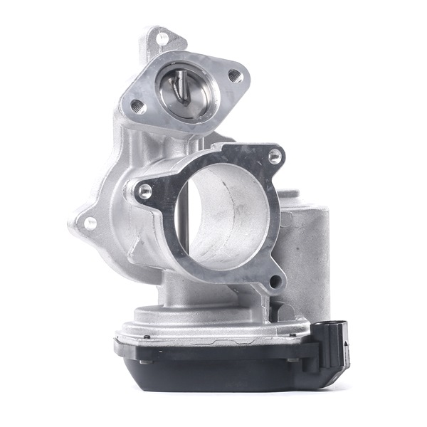 DELPHI Supapă EGR EG10404-12B1