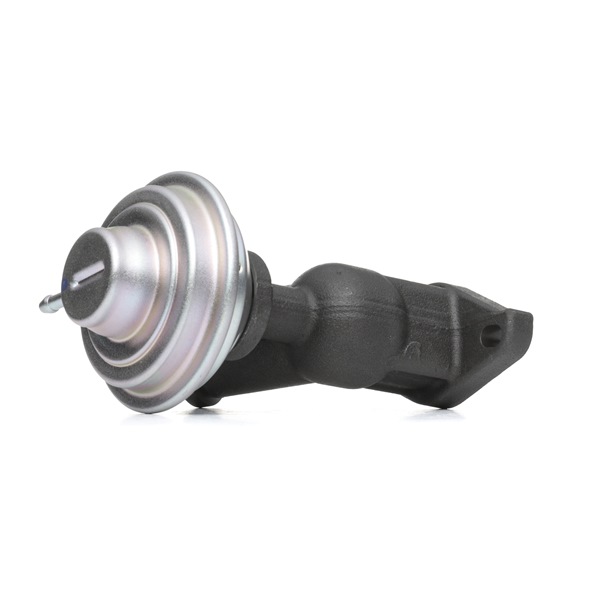 OEM EGR klep FIAT 2.0 JTD 109 PK Diesel 135962 van DELPHI online aan verbazingwekkende prijzen
