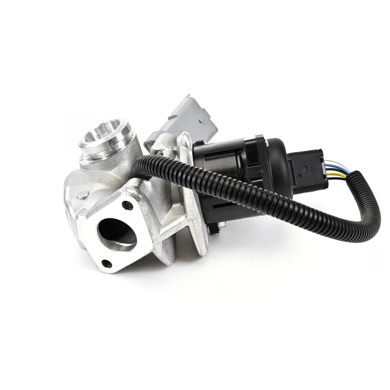 Įsigykite DELPHI ERG vožtuvas Prekės Nr.: EG10435-12B1 už žemiausią 132,14 € kainą