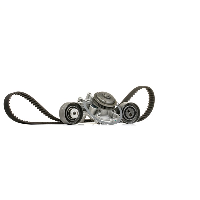 MAGNETI MARELLI Kit cinghia distribuzione, pompa acqua 132011160004
