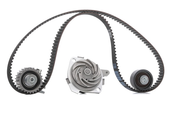 MAGNETI MARELLI Kit cinghia distribuzione, pompa acqua 132011160054