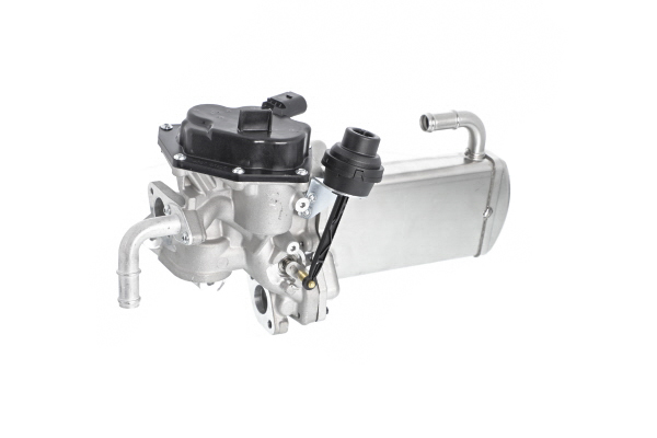 Billige Hersteller-AGR Kühler 117 516 vergleichbar mit 03L131512CC OEM-Nr im Web einkaufen