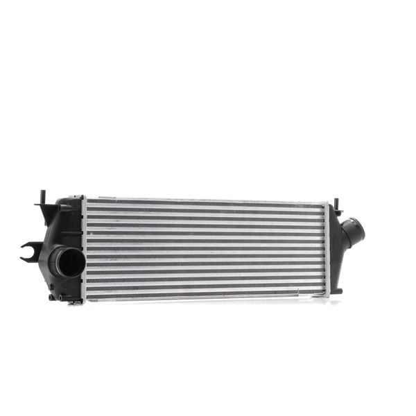 OEM Intercooler Nissan Primastar Bus 2012 4416946, 8200411160, 93854162 RIDEX