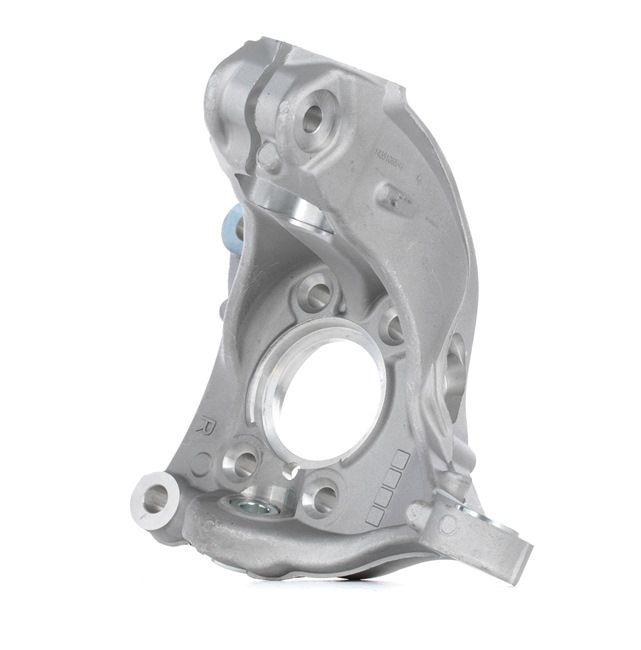 OEM Hjulspindel, hjulophæng VW 2.0 FSI 170 HK Benzin 3C0407254F fra RIDEX online til gode priser