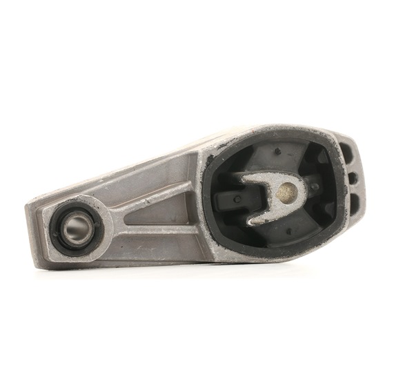 DELPHI Motorsteunlager TEM081