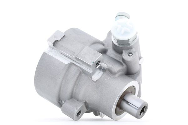 Ostke odavaid originaale Roolivõimu pump SKHP-0540131 mis on võrreldavad 4400370 OEM numbritega internetis