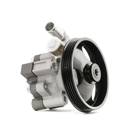 OE Hydraulikpump, styrsystem CHEVROLET AGILE 2012 96837813, 96837814, 95230930 från RIDEX