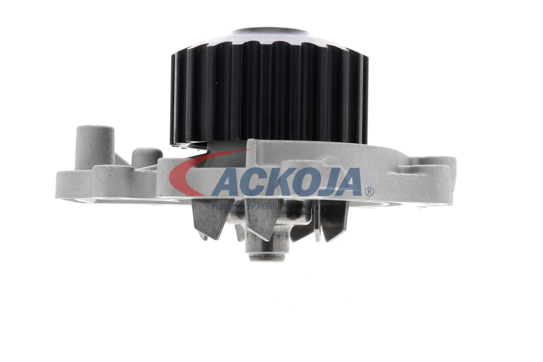 Köp ACKOJA Vattenpump Produktnummer: A26-50011 till det förmånliga priset av 674,44 kr