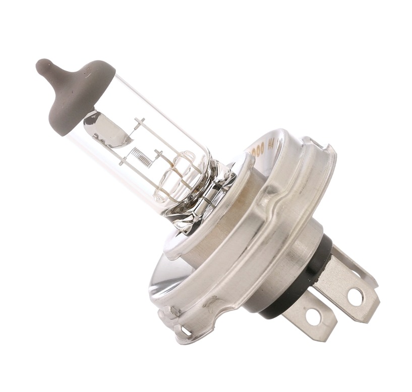 Acquista Lampadina, faro di profondità da RIDEX Numero prodotto.: 106B0011 al costo di soli 3,91 €