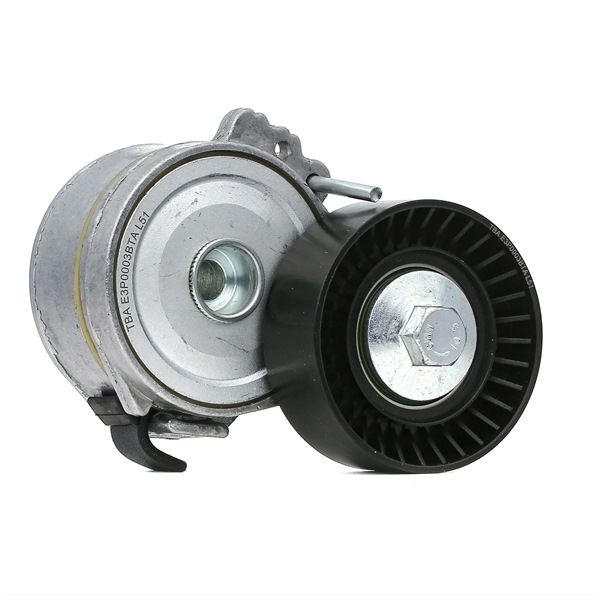 OEM Intinzator, curea transmisie CITROËN 2.0 HDI (X_RHG) 120 CP motor diesel 1613839980 de la BTA online la un preț incredibil
