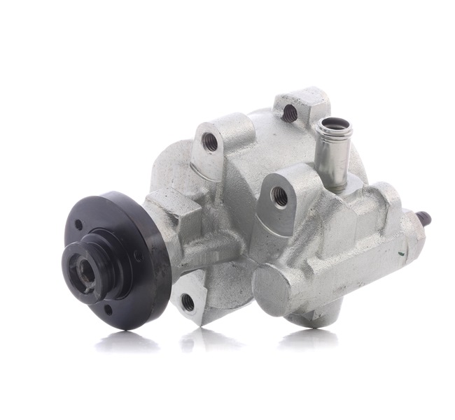 RENAULT 1.9 dCi 102 AG dyzelinas Vairo stiprintuvo siurblys OEM 491109577R iš STARK internetu puikiomis kainomis