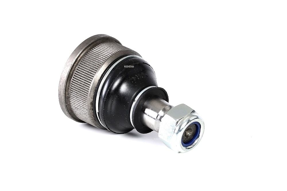 Kúpte si RIDEX Zvislý / nosný čap Číslo produktu: 2462S0407 za nízku cenu 13,31 €