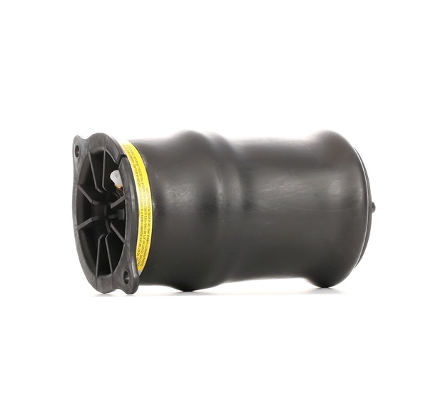 RIDEX Pneimo spilvens 4119A0034
