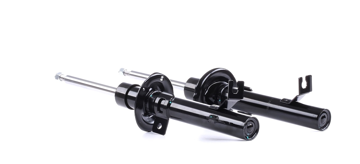 Įsigykite RIDEX Amortizatorius Prekės Nr.: 854S2210 už žemiausią 38,40 € kainą