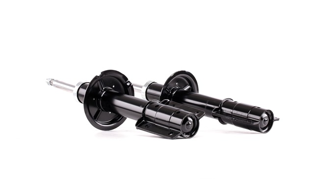OEM Dämpfer Fiat Talento 290 Bus 1993 520193, 5202CW, 5202JC RIDEX
