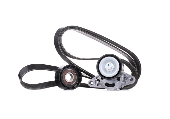 Kupte si levné originální Sada zebrovanych klinovych remenu SKRBS-1200055 porovnatelné s 8200603359 OEM čísly online