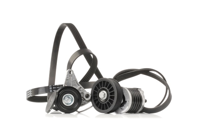 Kupte si levné originální Sada zebrovanych klinovych remenu SKRBS-1200059 porovnatelné s 575080 OEM čísly online