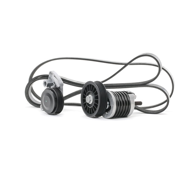 Kupte si levné originální Sada zebrovanych klinovych remenu 542R0060 porovnatelné s 058260849A OEM čísly online