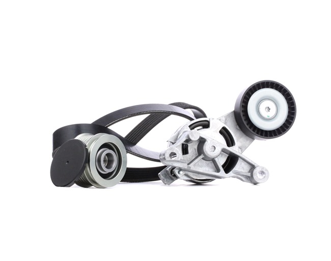 Koop online goedkoop originele Poly V-riem set 542R0063 vergelijkbaar met 022903119A OEM-nummers