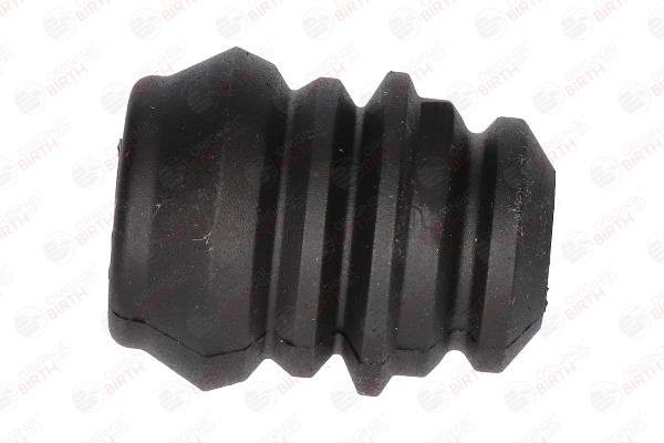 OE Schokbreker, hoes RENAULT FLUENCE 2017 96396591, 540500006R, 540500008R van BIRTH