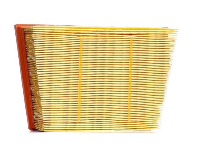 OEM Luchtfilter LAND ROVER 2.0 P250 Flex 4WD 249 PK Benzine/Ethanol GJ329601AA van FEBI BILSTEIN online aan geweldige prijzen