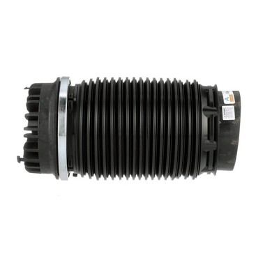 OEM Burduful pernei de aer RAM 4000 Camion cu platformă / Sasiu (DS, DJ, D2) 2021 4877136AB, 68248948AA, 68248948AA Arnott