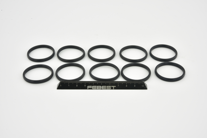 RINGWH-016-PCS10 FEBEST Wasserflansch