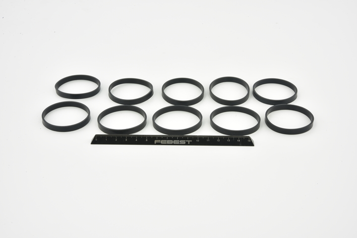 RINGWH-021-PCS10 FEBEST Kühlwasserflansch