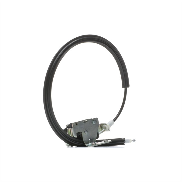 OEM Брава на врата FIAT 1.6 D Multijet 120 K.C. дизел 1345734080 от NTY онлайн на супер цени