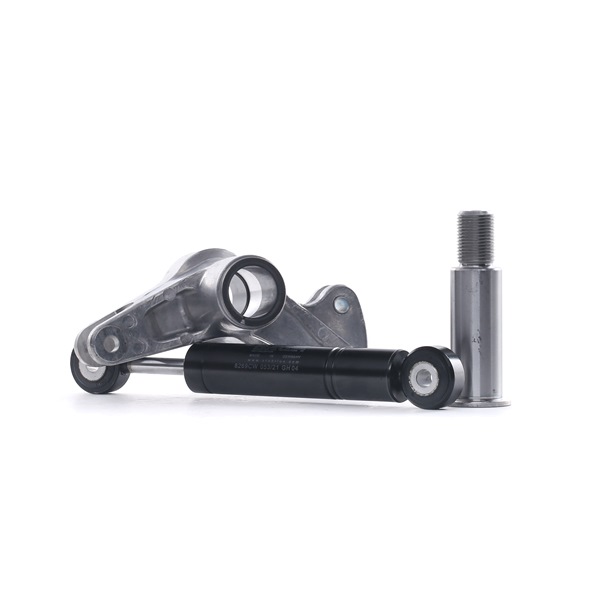 Galet tendeur de courroie d'accessoire 606 200 01 73 S2