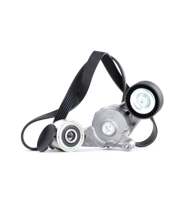 Koop online goedkoop originele Poly V-riem set SKRBS-1200063 vergelijkbaar met 022903119C OEM-nummers