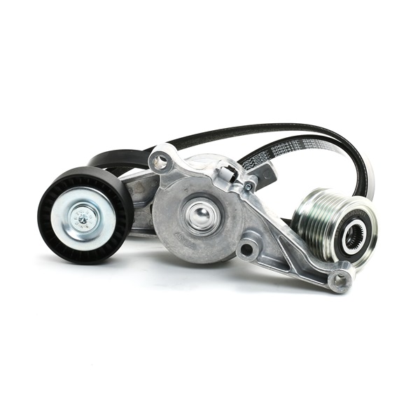 Koop online goedkoop originele Poly V-riem set 542R0064 vergelijkbaar met 022903119A OEM-nummers