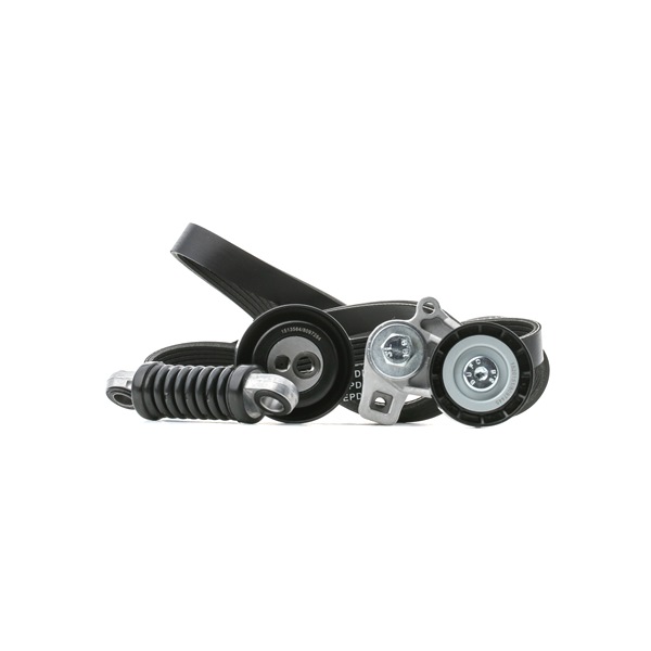 Kupuj online Zestaw paska klinowego wielorowkowego 542R0065 oryginalne w niskiej cenie, kompatybilne z numerem OEM 96MF6C301BC