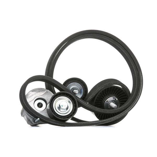 Cumpărați online Set curea transmisie cu caneluri SKRBS-1200069 original/ă și la un preț mic, compatibil/ă cu nr. OEM 11282365922