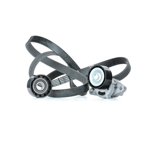 RENAULT 1.8 16V 115 AG benzinas V formos rumbuotas diržas, komplektas OEM 7701477527 iš STARK internetu puikiomis kainomis