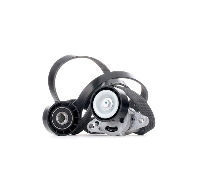OEM Poly V-riem set RENAULT 2.0 16V RX4 139 PK Benzine 7701477527 van RIDEX online aan geweldige prijzen
