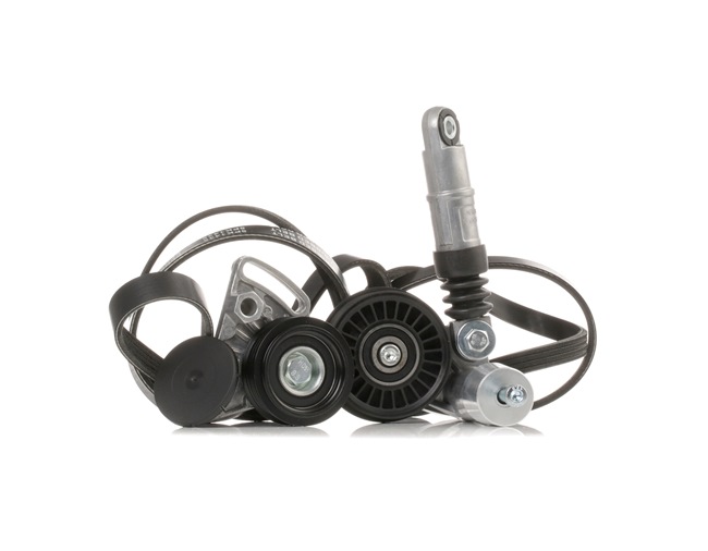 Koop online goedkoop originele Poly V-riem set SKRBS-1200082 vergelijkbaar met 64551727378 OEM-nummers