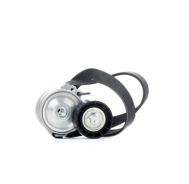 OEM Poly V-riem set FIAT 2.0 JTD 84 PK Diesel 1613840080 van RIDEX online aan geweldige prijzen