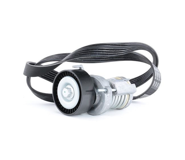 OEM Poly V-riem set SKODA 1.4 75 PK Benzine 030145299C van RIDEX online aan verbazingwekkende prijzen