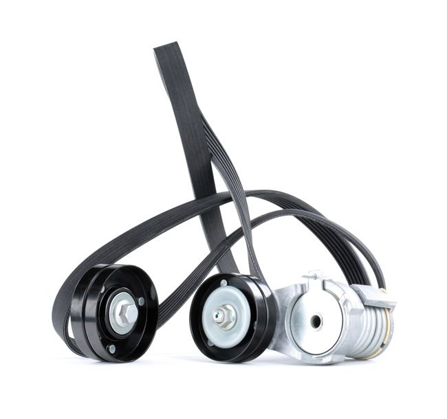 OEM Σετ ιμάντων poly-V VW 1.4 16V 75 PS Βενζίνη από την RIDEX ηλεκτρονικά σε χαμηλές τιμές