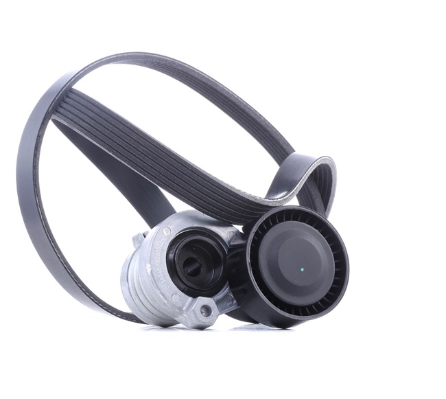 Compre Juego de correas trapeciales poli V SKRBS-1200107 original asequible comparable con números OEM online 117202495R