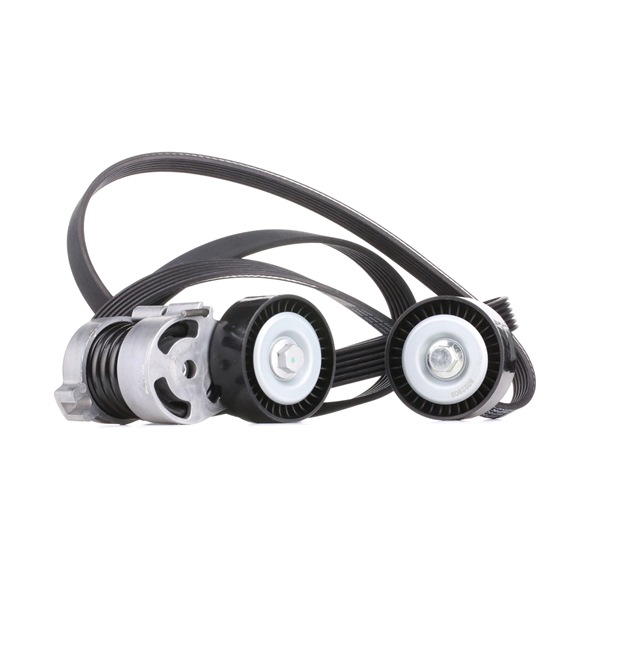 Compre Juego de correas trapeciales poli V SKRBS-1200109 original asequible comparable con números OEM online 0139974792