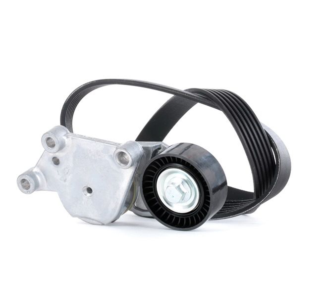 Buy cheap original V-Ribbed Belt Set SKRBS-1200113 comparable with AV6Q6C301AA OEM numbers online