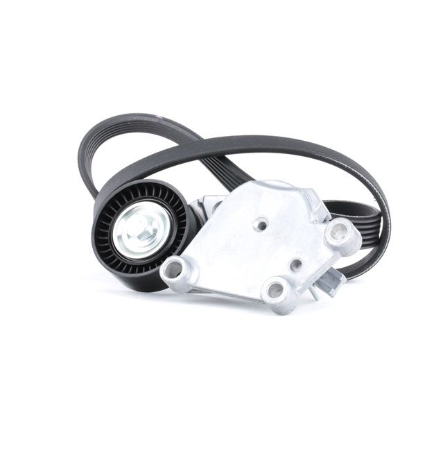 Buy cheap original V-Ribbed Belt Set 542R0114 comparable with AV6Q6C301AA OEM numbers online
