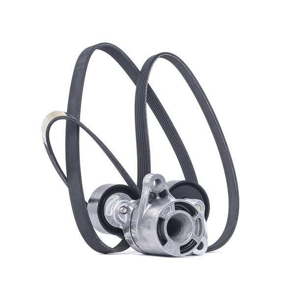 OE Kit de correa auxiliar BMW X6 2015 11287810807, 11288519128, 6PK1893 de RIDEX