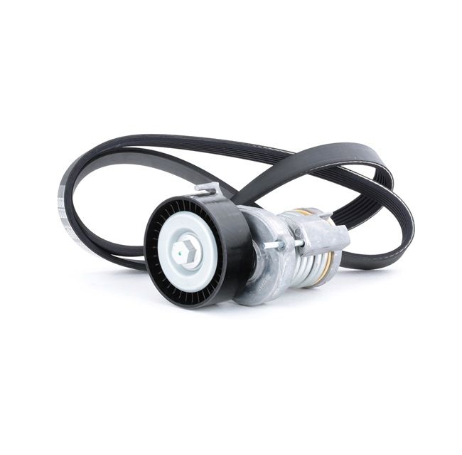 OEM Σετ ιμάντων poly-V VW 1.4 16V 75 PS Βενζίνη 030145299C από την STARK ηλεκτρονικά σε χαμηλές τιμές