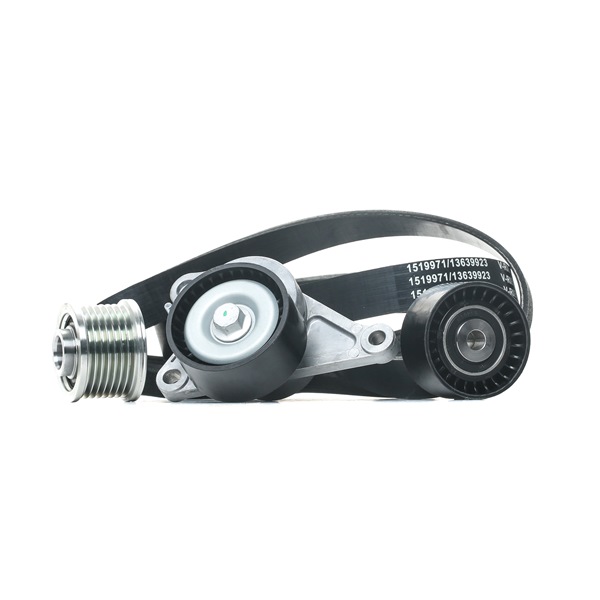 Bestel originele Poly V-riem set 542R0141 voordelig online, te vergelijken met 8200404459D OEM-nummers