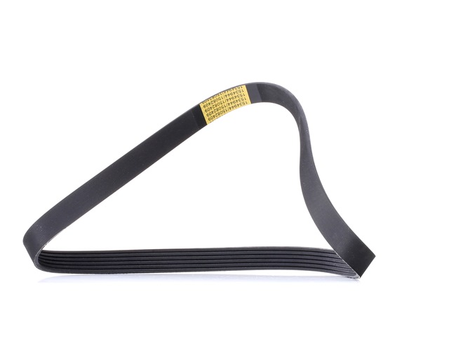 Compre Correa trapecial poli V 305P0404 original asequible comparable con números OEM online 9805463680